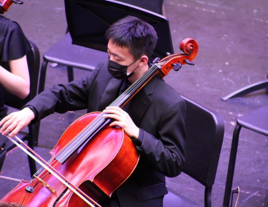 Junior Luke Wang is rocking the bass at the orchestra winter concert
