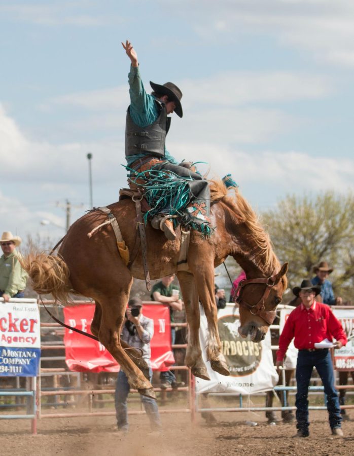 Wild Western Fun: Houston Livestock Show and Rodeo
