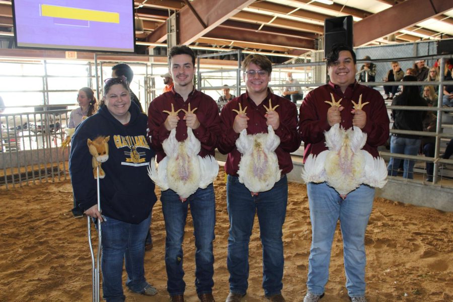 FFA Students presenting their chickens