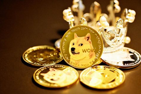 DogeCoin to Begin its Own Festival