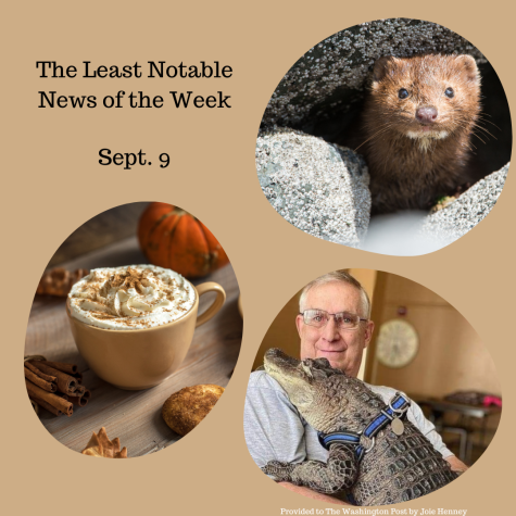 The Least Notable News of the Week