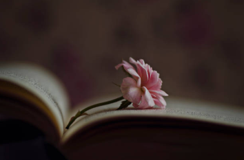 5 Romances You Need to Read